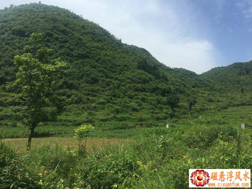 2025年宁姓女孩起名字会影响她的婚姻运势(2025年宁姓女孩起名字会影响婚姻幸福吗) 2025年宁姓女孩起名字会影响她的婚姻运势(2025年宁姓女孩起名字会影响婚姻幸福吗)