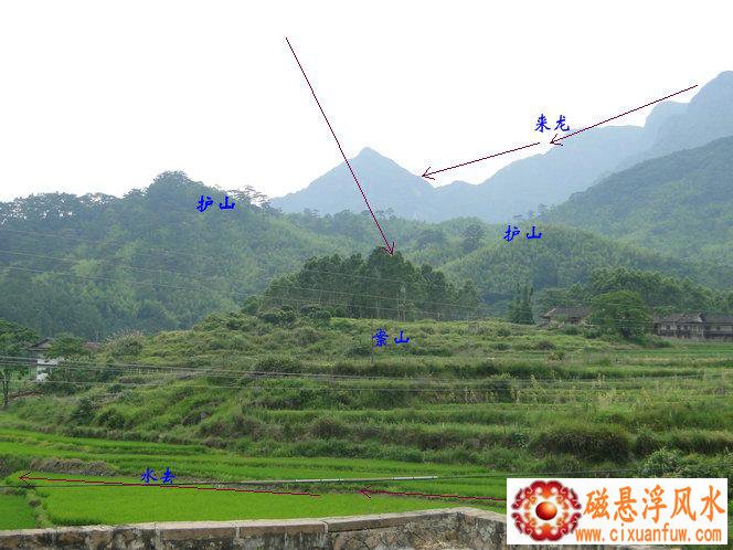 03��14����Ф������ţ�ߴ�