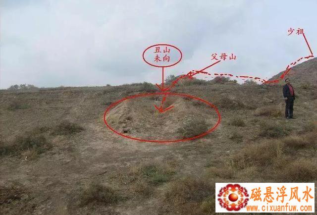 �����������ഺ��ʾ����ż�ĵ�������δ������ı仯(�����������ഺ��Ӱ����ż�������������)