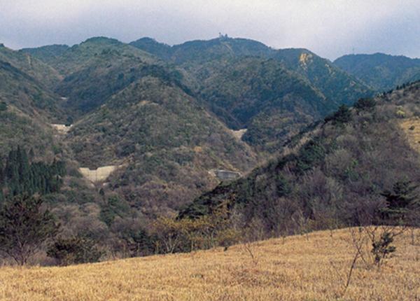 立春都忌哪个属相生肖呢 立春都忌哪个属相生肖呢