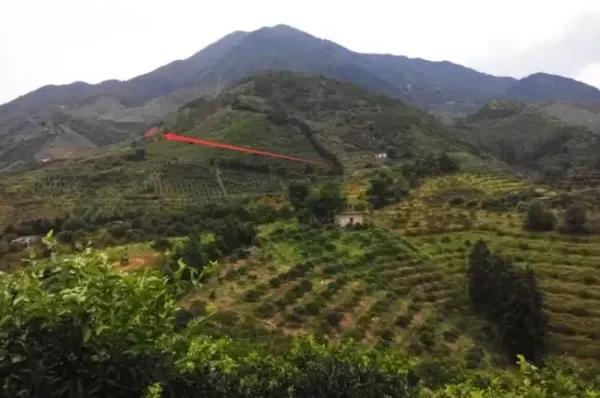 农历日期解读 回顾2026年农历变迁与重要日子 农历日期解读 回顾2026年农历变迁与重要日子