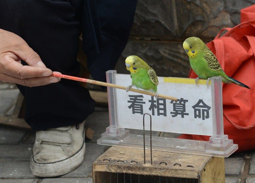 ���������к�ȷ������ƽ���Դٽ�δ����չ(���������к���ƽ����֧��ϵͳ������֮��)