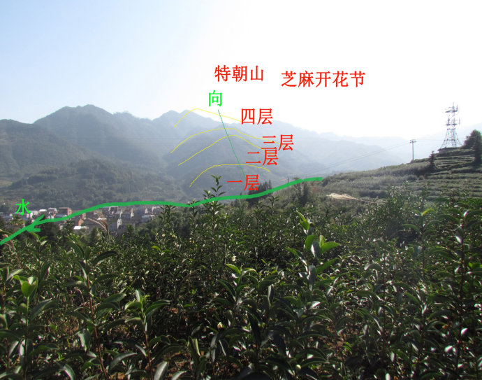 今年生肖运势大吉 属相者事业顺利 收获满满运程 今年生肖运势大吉 属相者事业顺利 收获满满运程