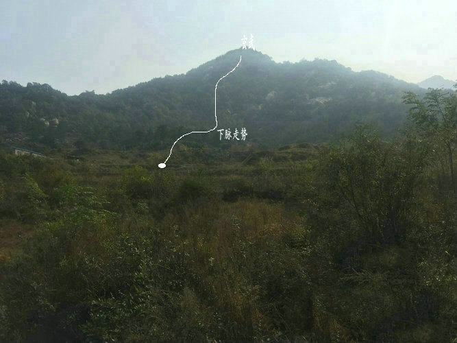 2025年属龙人2025年运势及命运 10岁生肖龙在牛年每月运程如何 2025年属龙人2025年运势及命运 10岁生肖龙在牛年每月运程如何