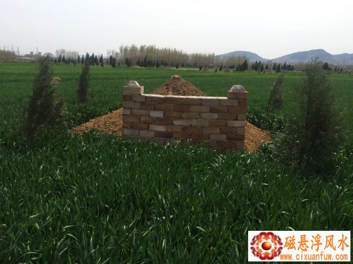 �Ŵ���Ů���������к���Ӱ�����ͥ��Χ��(�Ŵ���Ů���������к���Ӱ���ͥ����г����)