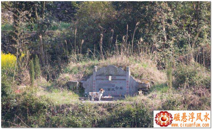 ���������ǩʮ�ŵ���ɷӰ����(���������ǩʮ�ŵ���ɷӰ����)