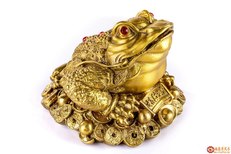 1984������Ф���Ʋ�ѯ����Ӱ�����������Ŀ��(1984������Ф���Ʋ�ѯ����Ф��ϢϢ���)