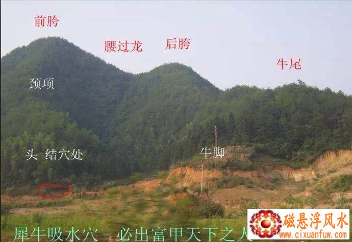 �ʺ����������յĶ̾� �ʺ��͸����������յľ���