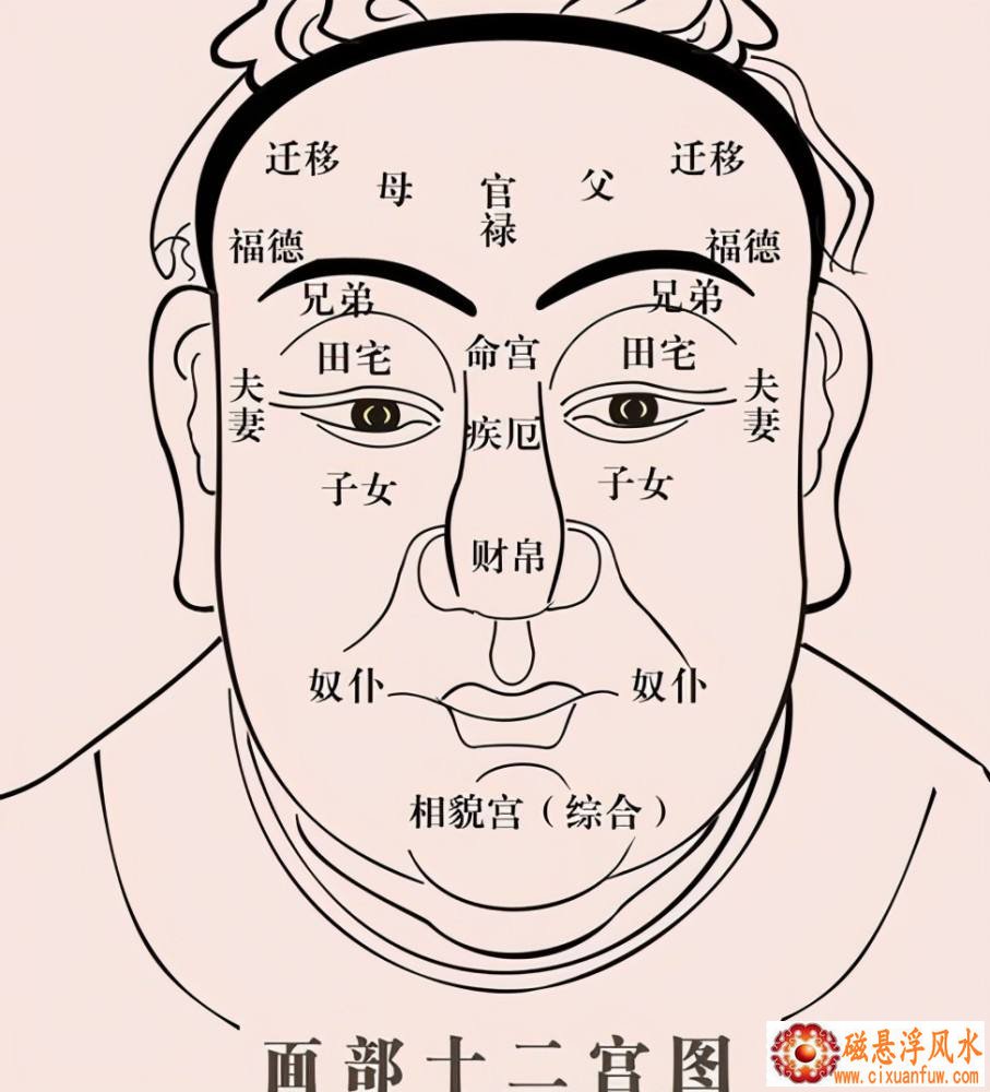 ��ɫ���к����� ϡ�е��к�����