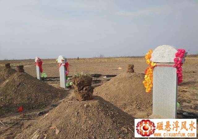 2025��������ܷ��������ʵ���������໥����(2025����������÷���ѧ���໥����)