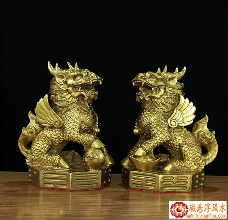 ʲô����������������