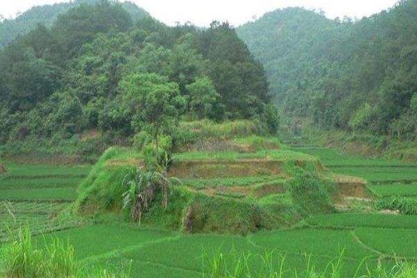 �����綶��818�³������ֱ��GMV��2.6�� ����Ʒ