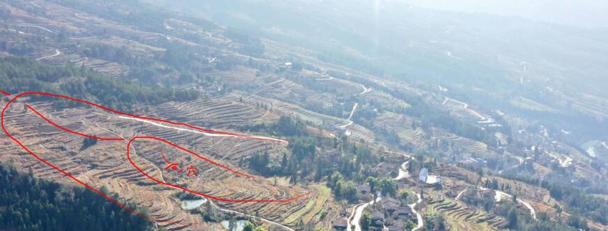 2025年的属相婚配真的能决定婚姻幸福吗 2025年的属相婚配真的能决定婚姻幸福吗