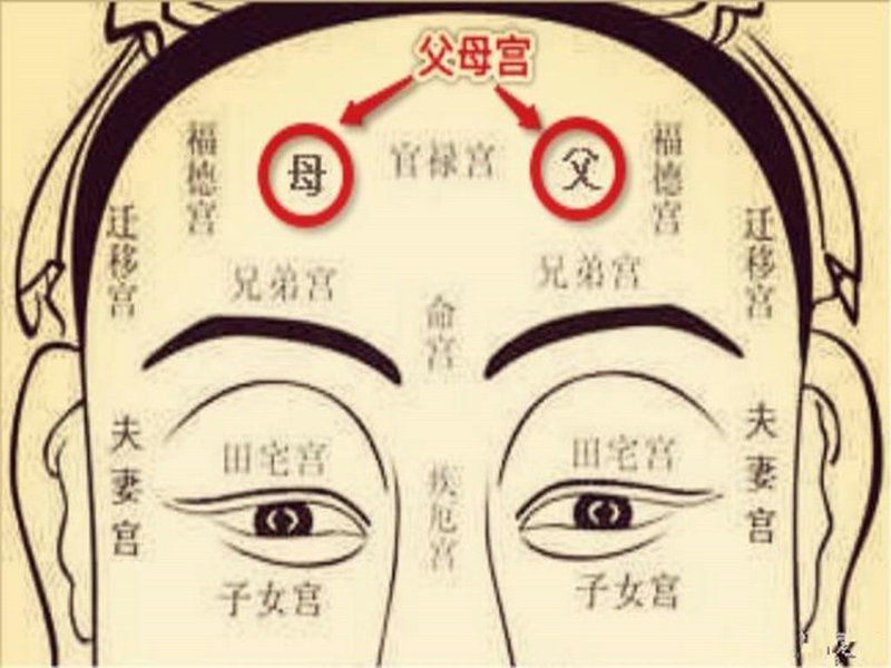 �������С��̨ͬ��Ƶ���������С����� 