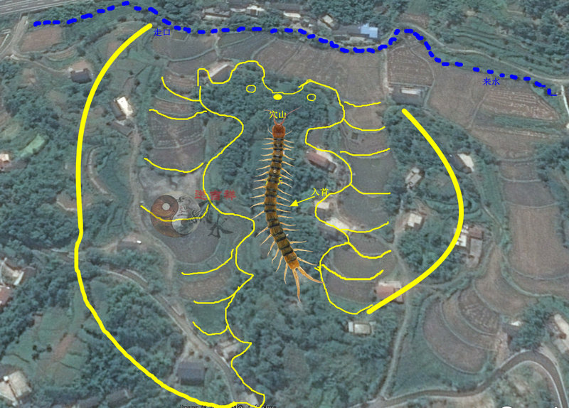 强推2025年12生肖年度运势报告 强推2025年12生肖年度运势报告