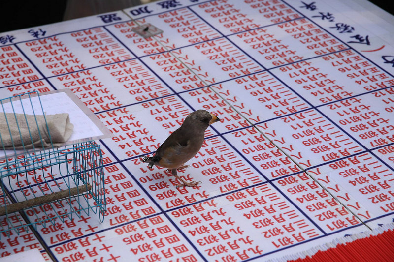 2025��ũ��ʮһ�³�ʮ�����ò��� 2025��ũ��ʮһ�³�ʮ�����ĺ�����ʲô����