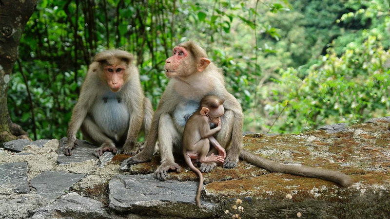 Ԭ�����������»���� ������������������̽��