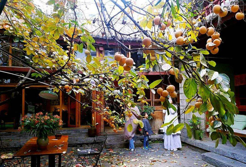 2025��12��17�ղ���λ��ѯ����