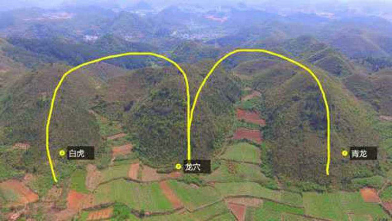 2025������������ô��