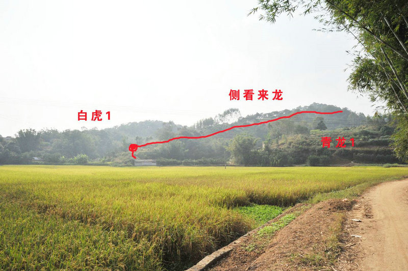 2025��������������Ф�ķ��������Ӱ��������(2025��������������Ф���ٷ������������)