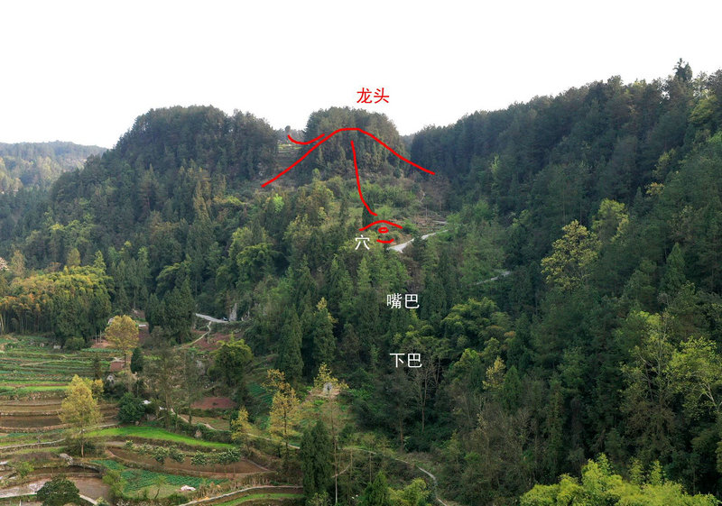 12��05����Ф�����򹷻���