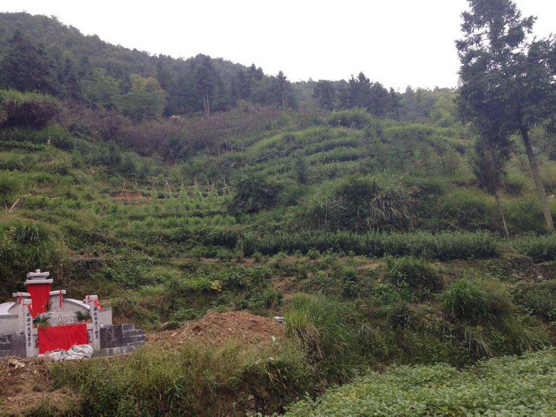 �����������Ӱ�����˵�Ե����δ������(�������Ӱ��ϻ���Ҹ���δ��)