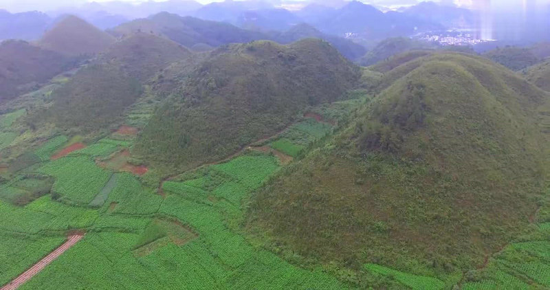 佛祖灵签四十六解签_朋友利益冲突时处理关系(佛祖灵签四十六解签_朋友利益冲突会影响人际关系) 佛祖灵签四十六解签_朋友利益冲突时处理关系(佛祖灵签四十六解签_朋友利益冲突会影响人际关系)