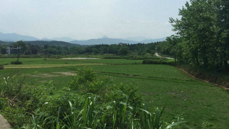 2025��8��15��ʮ���������Ʋ�ѯ