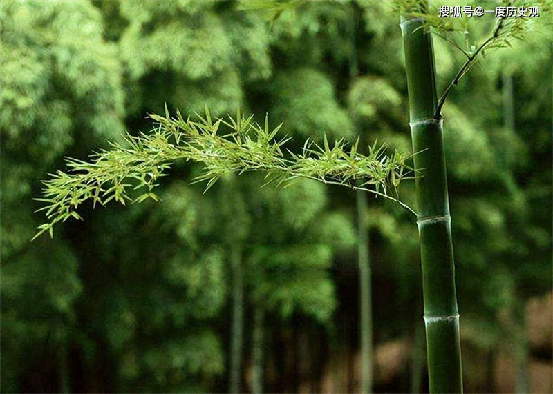 ���������ǩ��ʮ��ǩ��˾ǩ�����ҹ�������(���������ǩ��ʮ��ǩ��ʾ���ҹ��˱ӻ�)