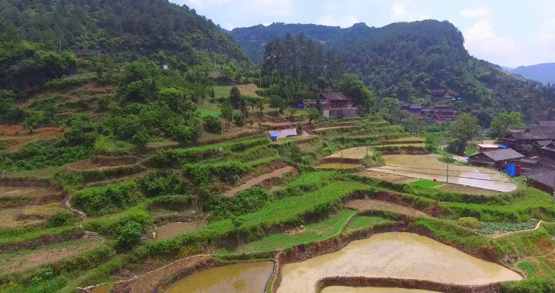 ������˾��12������������ʲô