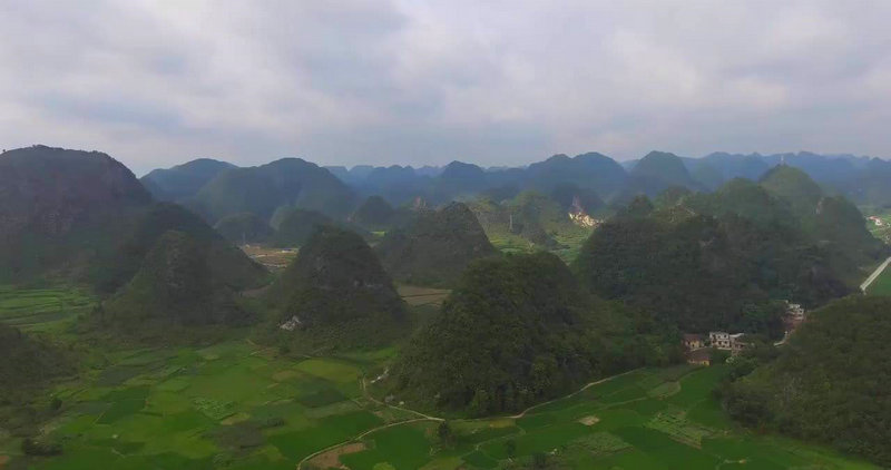 �μ����ܹ�����ԭ�� Ů���ε����������ʲôԤ��