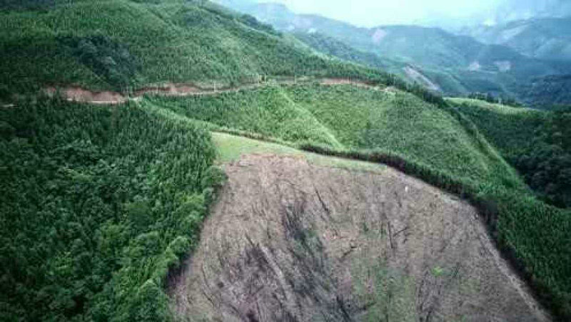 杨幂黄子韬互动亲昵毫不避讳 晚上直奔杨 杨幂黄子韬互动亲昵毫不避讳 晚上直奔杨