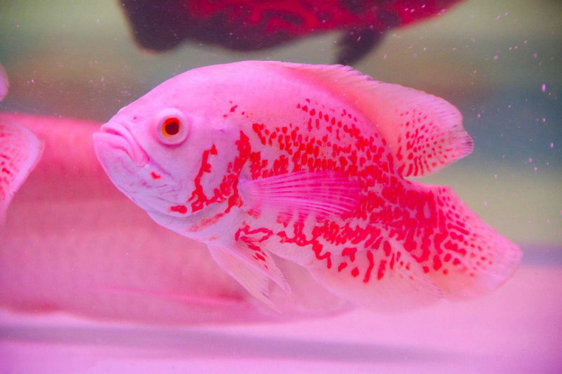 ���������ɵ����ǳ����ÿڻ��ǳ����ÿ� ���������ɵ���������