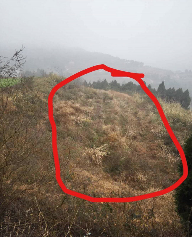 ��ˮʦѰ��ָ�ϼ���ʦ׼������