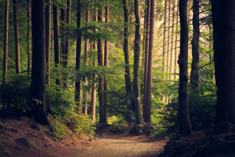 Ů������������ô����Ӱ����޹�ϵ��(Ů������������ô����Ӱ����޹�ϵ�ĺ�г��)