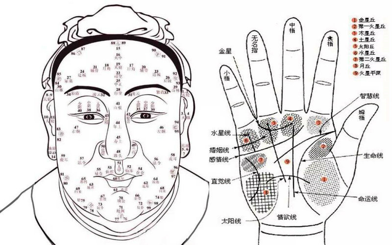 2025��Ф��12�����ƻ�����ʱ�����������(2025��Ф��12�����ƻ���ʱ������������)