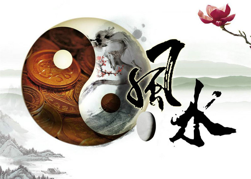 2025��11��13��ʮ������ÿ������