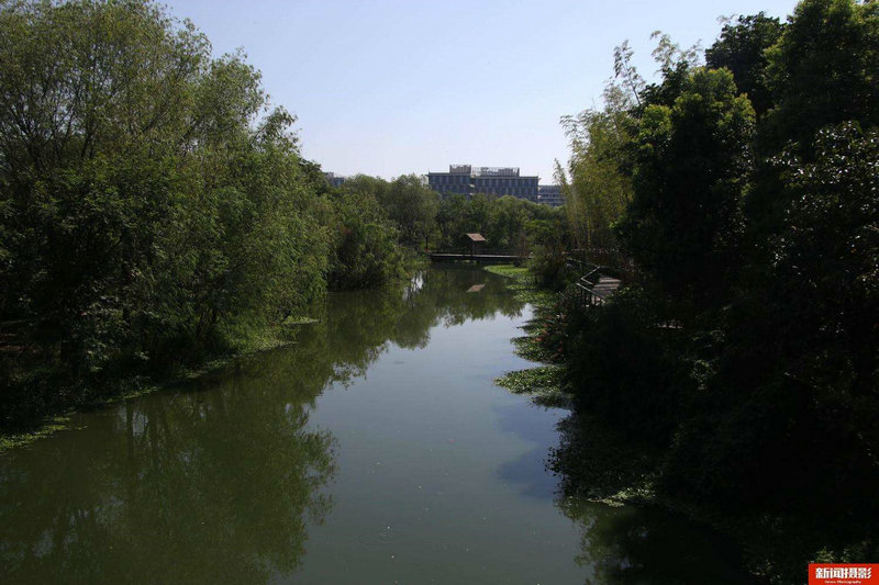 风水运势揭秘 流年影响力如何影响生活变迁 风水运势揭秘 流年影响力如何影响生活变迁