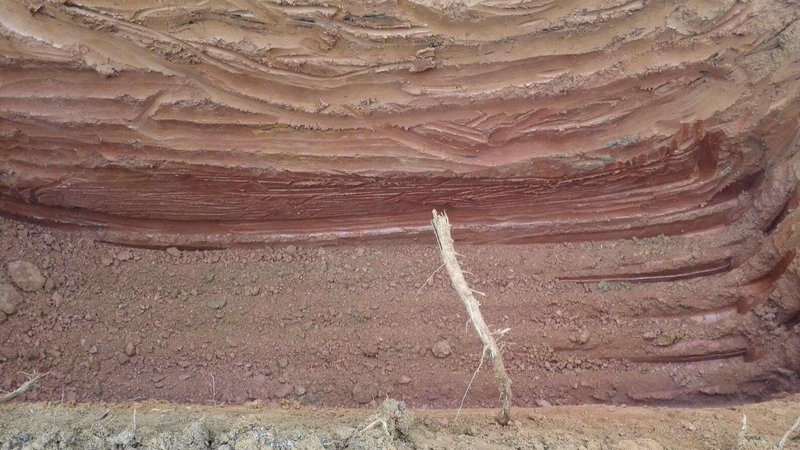 输入名字查另一半名字 手机计算机输入什么可以查伴侣的名字 输入名字查另一半名字 手机计算机输入什么可以查伴侣的名字