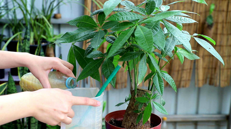 ��ˮ�ɵ�Ӱ ��ˮ�ɵ�Ӱ��ѹۿ�