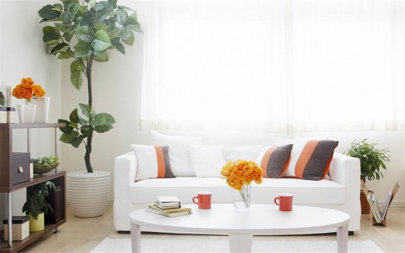 ����껺���ĸ�Ԣ����� ��ֺ�����ĸ����ʺ�����