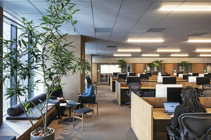 2025����Ů������������˳�첻���ź�(2025����Ů����������ѡ���綫��ⶳ��ǡ���ô�)