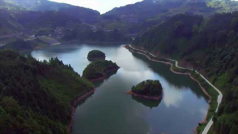 �����͵����Ȱ�˭Ư��