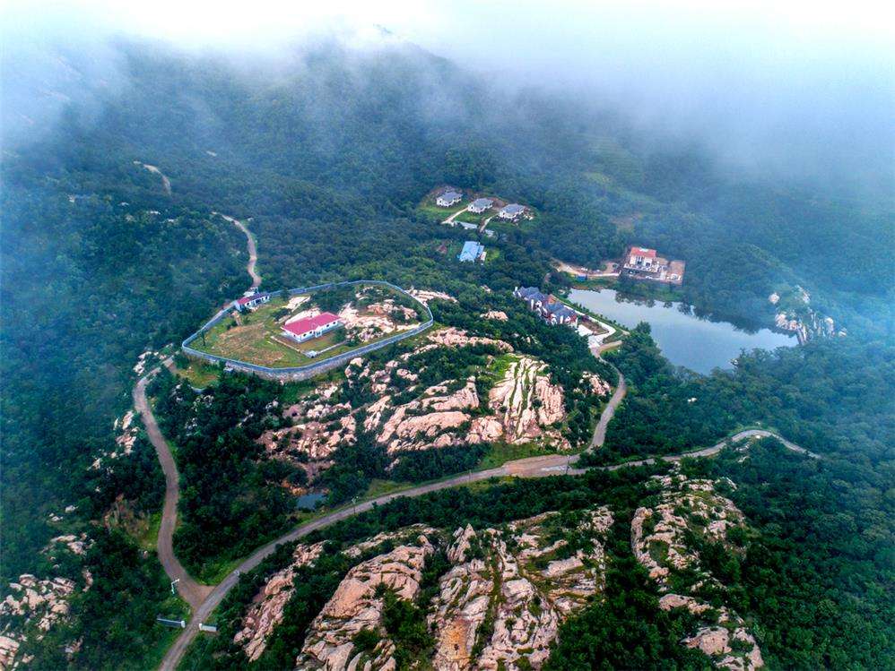 ����ɽ������ǩ��ǩ��������ǩ������Ӧ�Կ���(����ɽ������ǩ��ǩ��������ǩ�Ļ�����Ӧ���㹻)