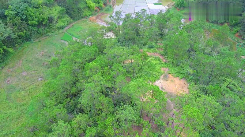 ����Ե���(��Ե����)