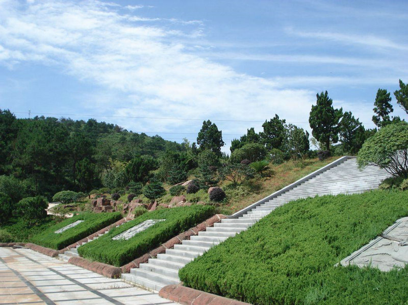 ʧ������������Ӱ�����Ƽ� �������� ȴ�����䵽���粥��