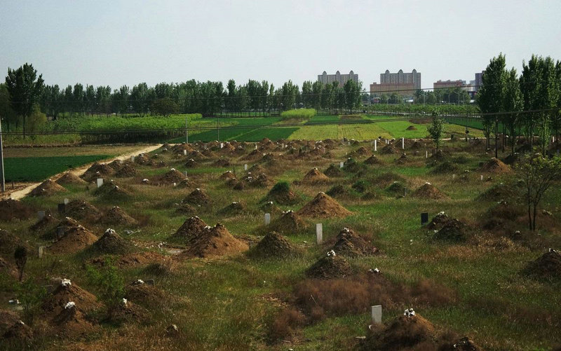 ���������ʲô����