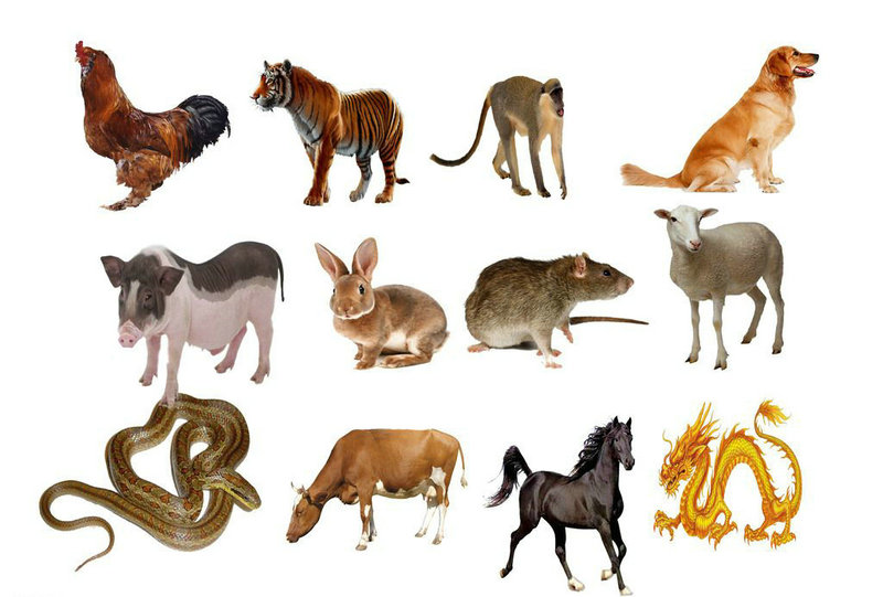 1979���������������Ф��Ի�Ӱ����޼�ĺ�г���Ҹ�