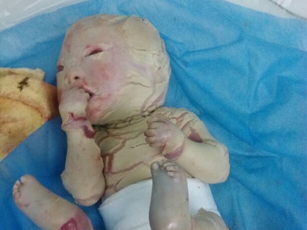 申敏儿被曝或将在明年和患癌男友金宇彬结婚 申敏儿被曝或将在明年和患癌男友金宇彬结婚