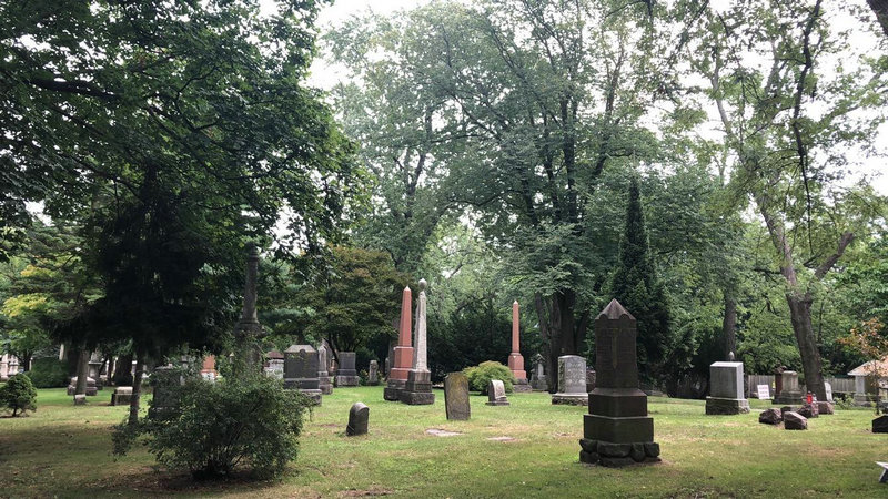 ���ֲ���������